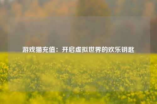游戏猫充值:开启虚拟世界的欢乐钥匙