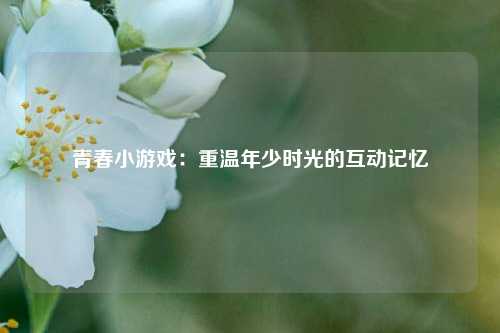 青春小游戏：重温年少时光的互动记忆