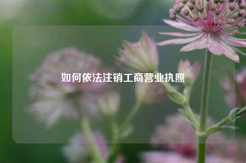 如何依法注销工商营业执照